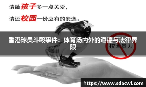 香港球员斗殴事件：体育场内外的道德与法律界限